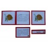 Nomenclatura anatomía externa pez