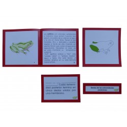 Nomenclatura con tarjetas de 3 partes plastificadas y librillo autocorrectivo de la anatomía externa del pez.