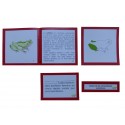 Nomenclatura con tarjetas de 3 partes plastificadas y librillo autocorrectivo de la anatomía externa del pez.